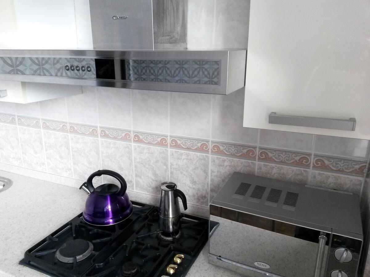 "Картина Горных Вершин" Квартира- "Mountain View" Apartment Almati Kültér fotó